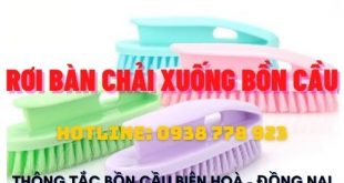 Rơi bàn chải xuống bồn cầu ảnh hưởng gì cách xử lý tại nhà ? 6 Rơi bàn chải xuống bồn cầu bạn nên gọi công ty nào uy tín ?
